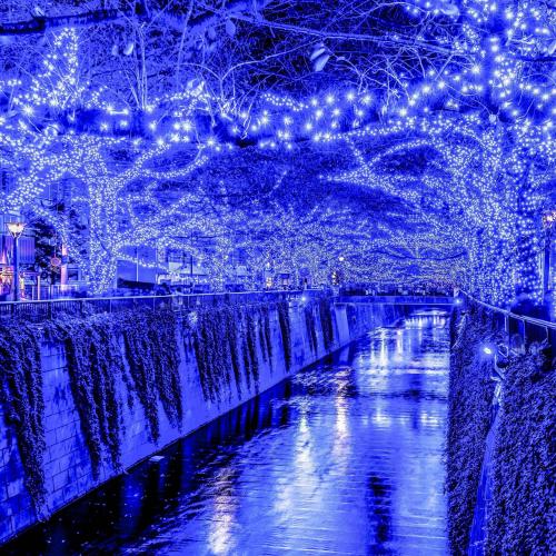 Tokyo Christmas