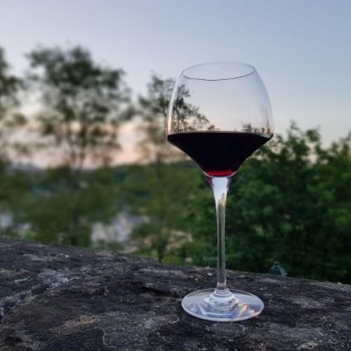 Luxembourg: Alumni & Friends Happy Hour