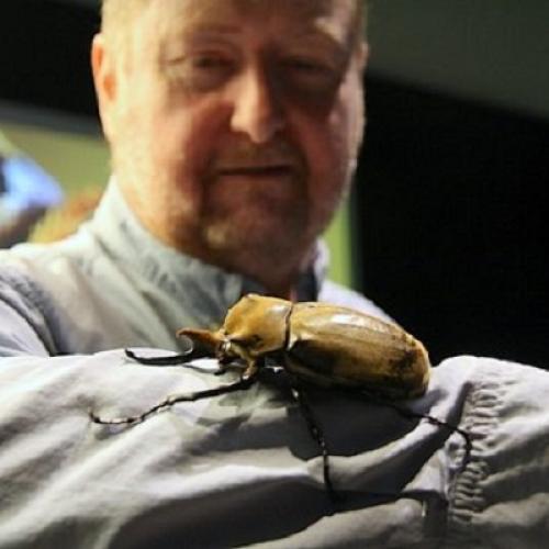 Ottawa, ON: Presentation on Scraping the Surface - Beetle Hunting in Central America 
