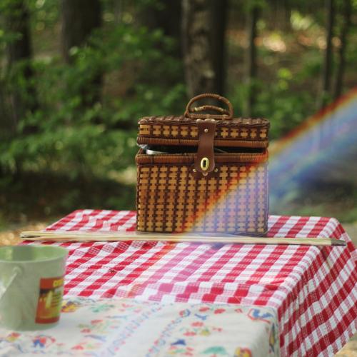 picnic in the park