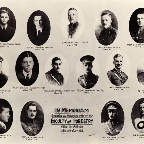 In Memoriam Graduates and Undergraduates of the Faculty of Forestry killed in Action in the War of 1914-1918. Courtesy U of T Archives A1972-0025/006 [P006.101].